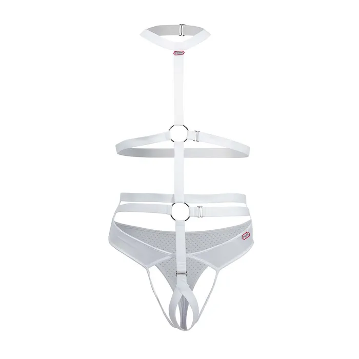 PIK 0344 Decided Harness Thongs Pikante Female Sex Toys