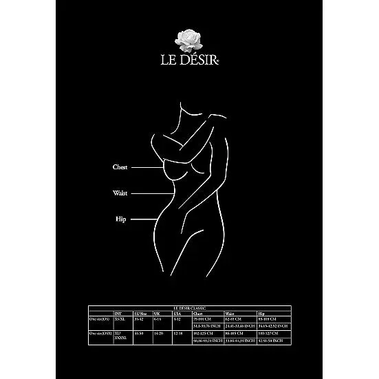 Le Desir Plus Size Le Desir Lace and Fishnet Bodystocking Plus Size